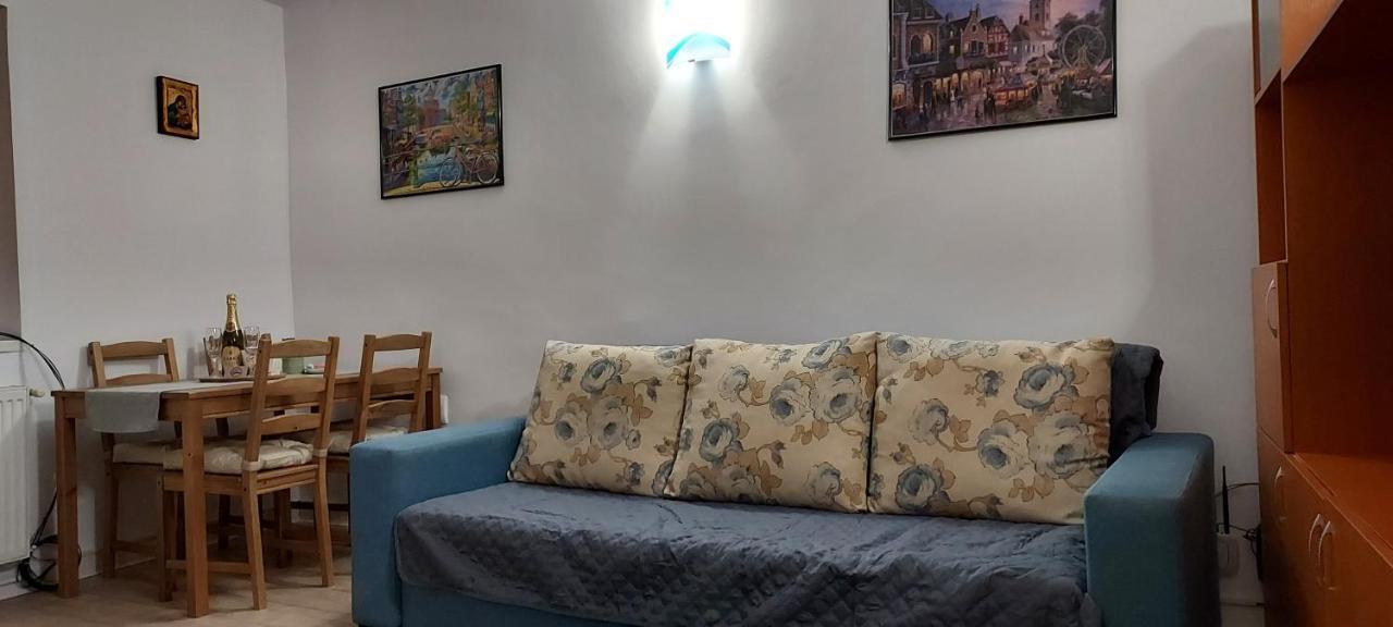 布拉索夫Casa Schei别墅 外观 照片