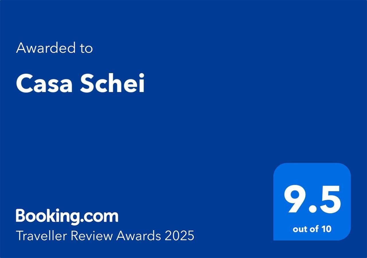 布拉索夫Casa Schei别墅 外观 照片
